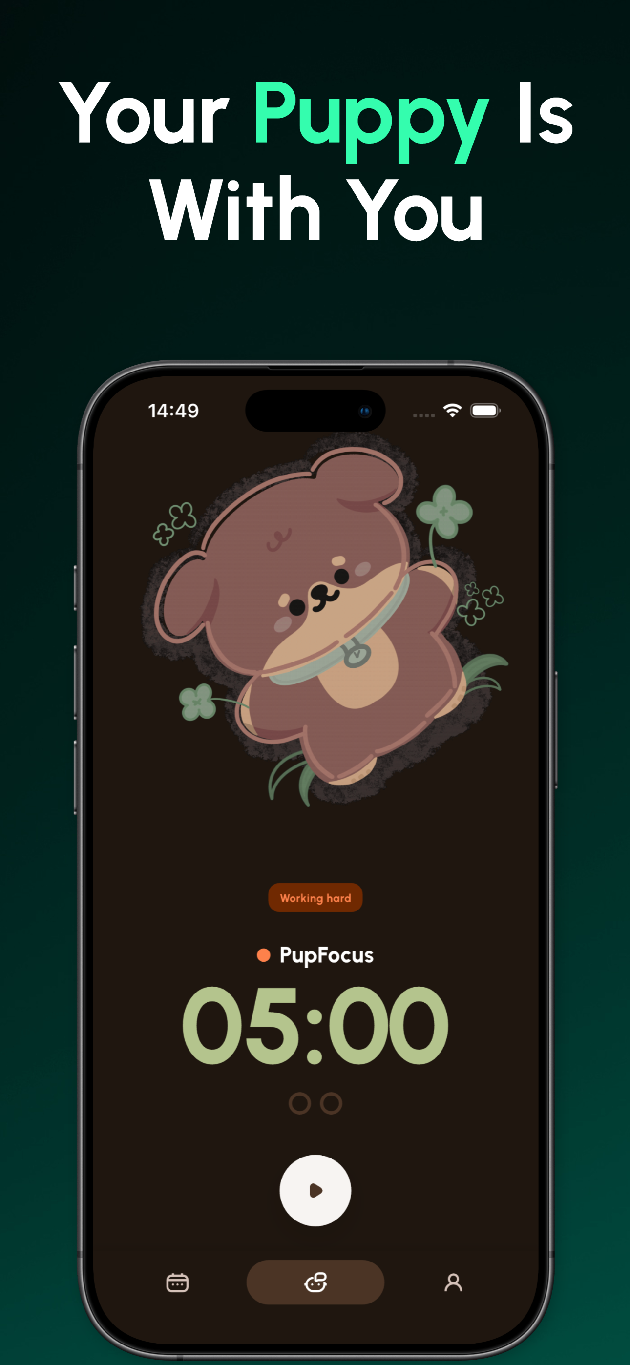 PupFocus settings screen with timer duration customization options