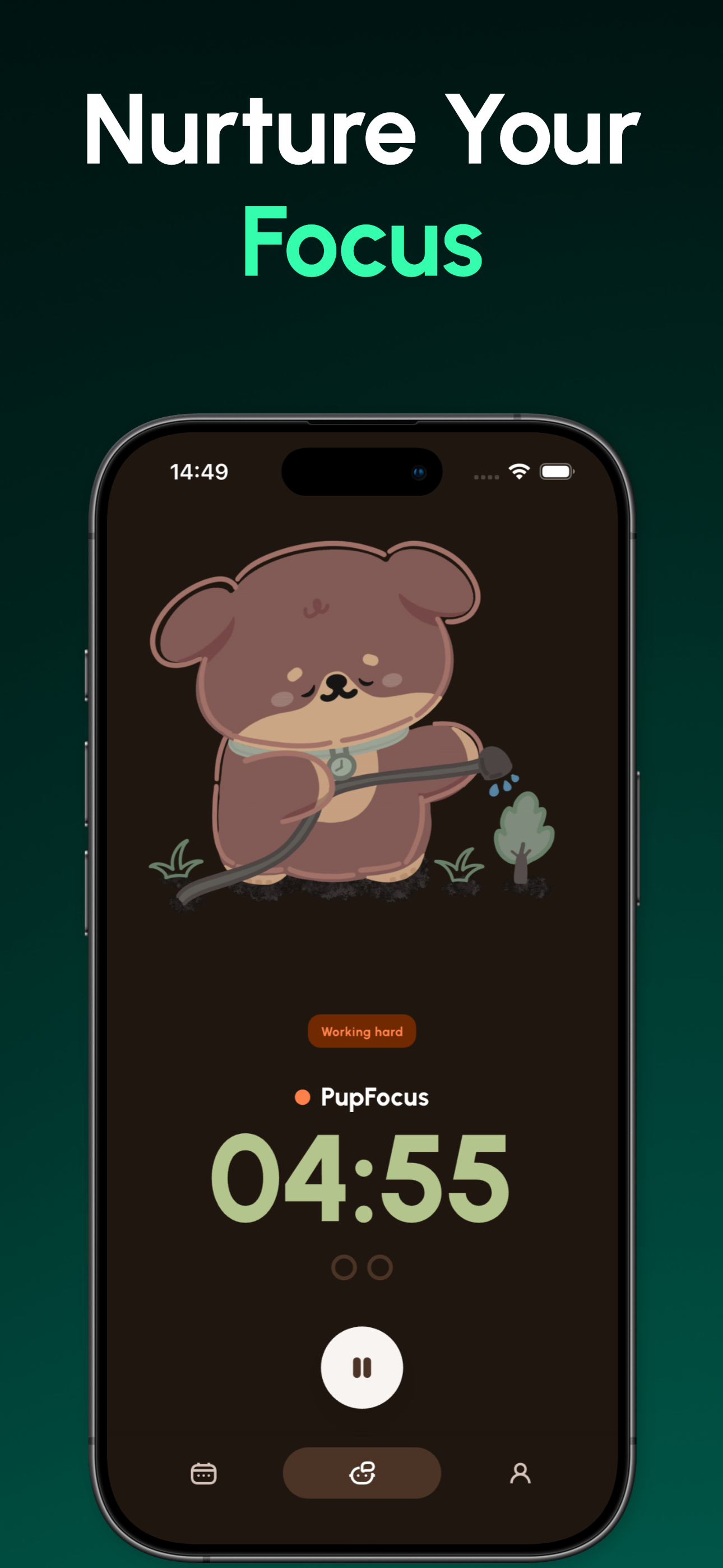 PupFocus statistics dashboard showing completed Pomodoro sessions